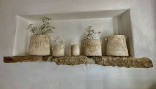 Už jsou doma u @penzionnacervenempotoce1 🤍🤍🤍🤍🤍